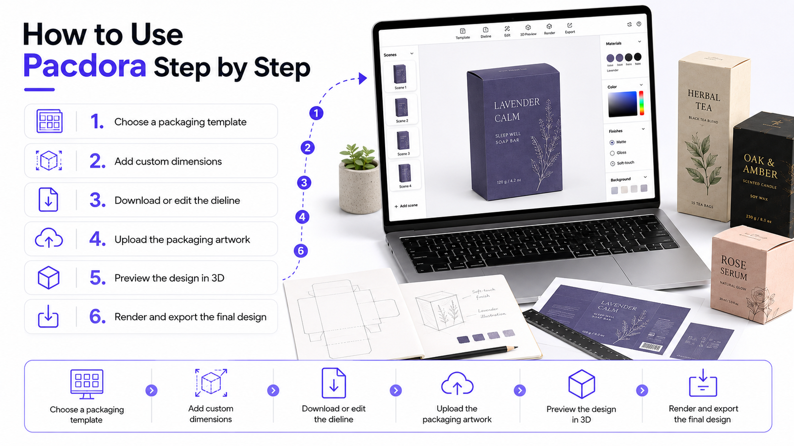 How to Use Pacdora Step by Step