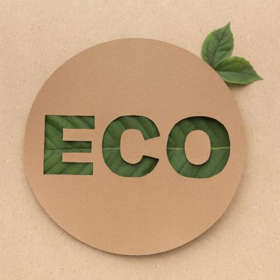 Latest Guide On Eco Friendly Custom Packaging Boxes UK 2026